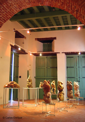 Exposicion_Re-viones_03