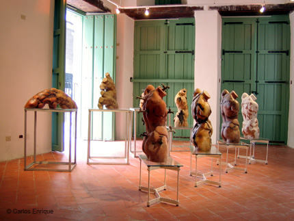 Exposicion_Re-viones_08