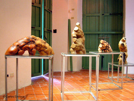 Exposicion_Re-viones_09