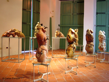 Exposicion_Re-viones_10