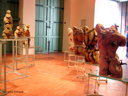 Exposicion_Re-viones_11