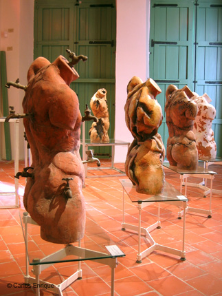 Exposicion_Re-viones_12