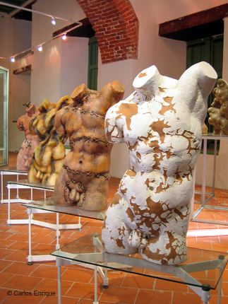 Exposicion_Re-viones_13